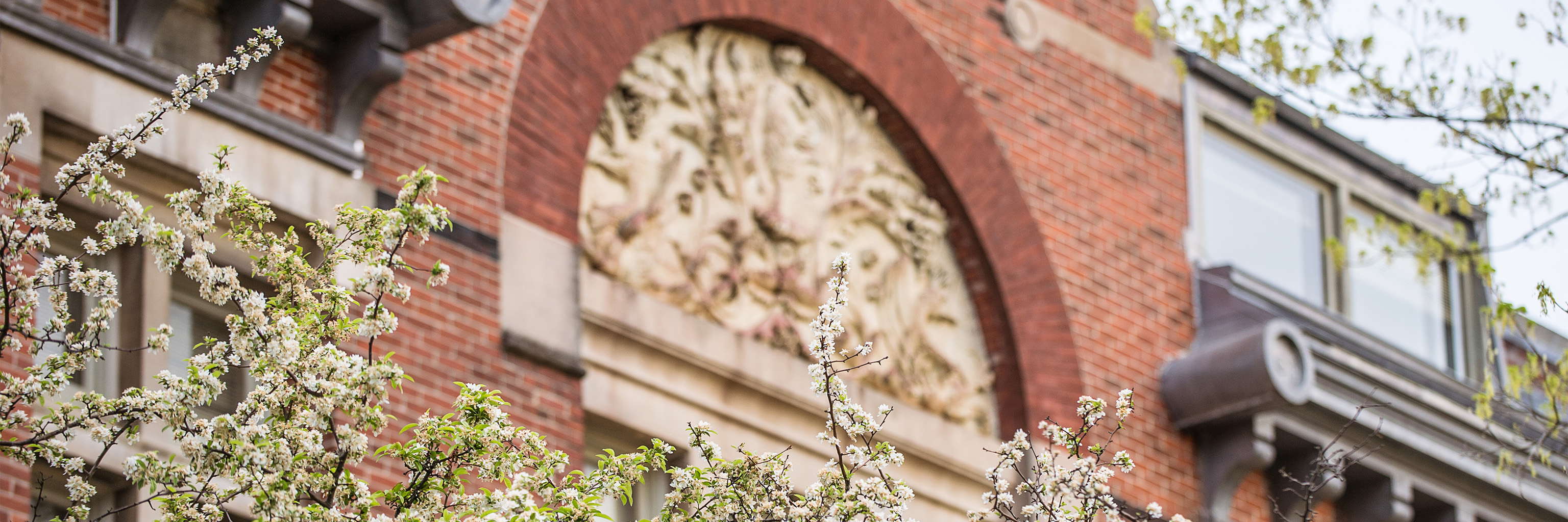 Close-up of flowers in front of an ornately decorated brick building.